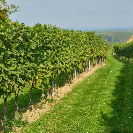 Weinhof - Maier * Angern