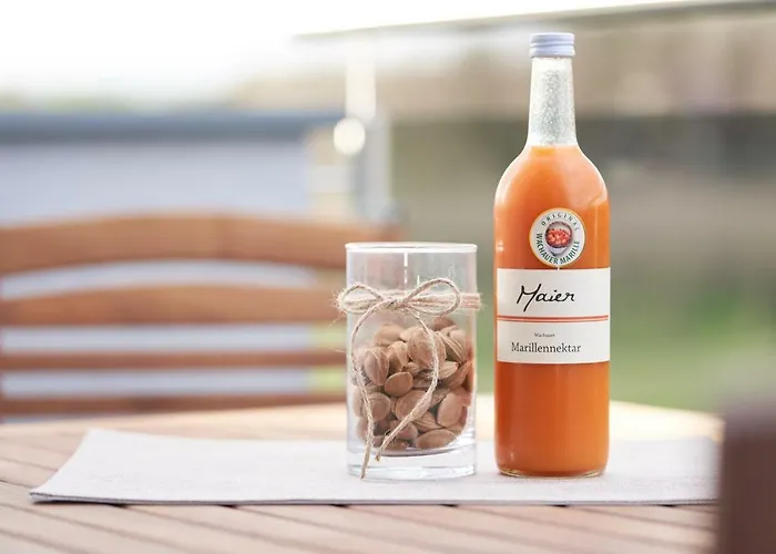 Weinhof - Gaestehaus Maier Angern