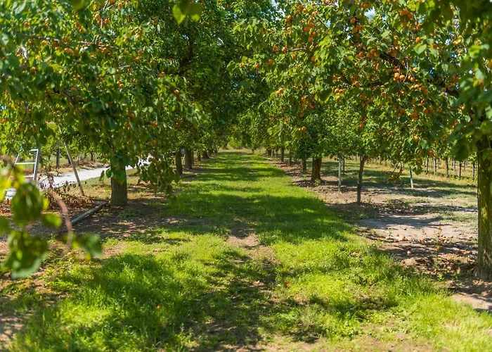 Weinhof - Gaestehaus Maier Pensión Angern